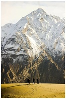 Amazing Shot - Pakistan